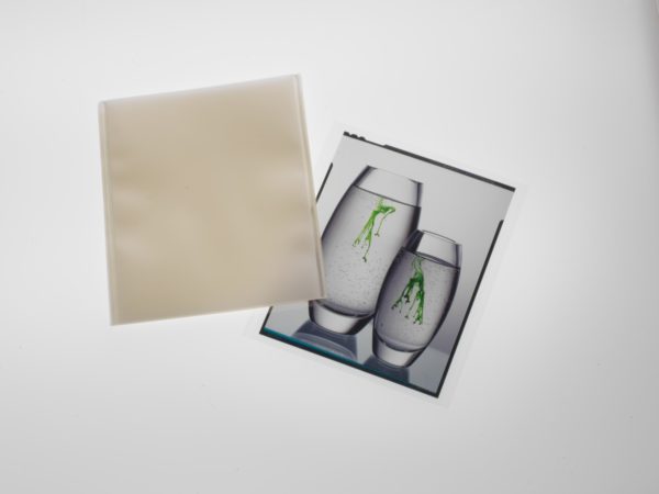 5x4" Transparency Sleeve (Pack of 100)